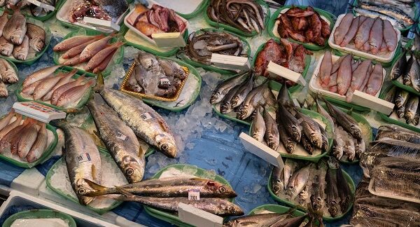 besten Fischmärkte