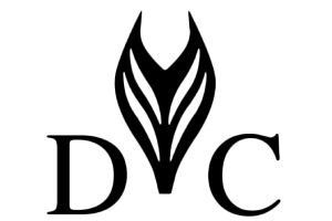 Düsseldorf Consulting GmbH