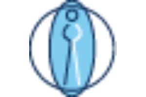 Osteopathiepraxen - Osteopathie Zentrum Frankfurt