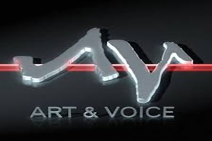 Art & Voice Kundendienstzentren für Audioequipment
