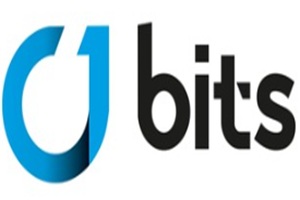 Bits GmbH Kundendienstzentren für IT-Dienstleistungen